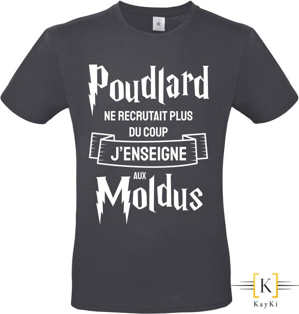 T-Shirt homme - J'enseigne aux Moldus