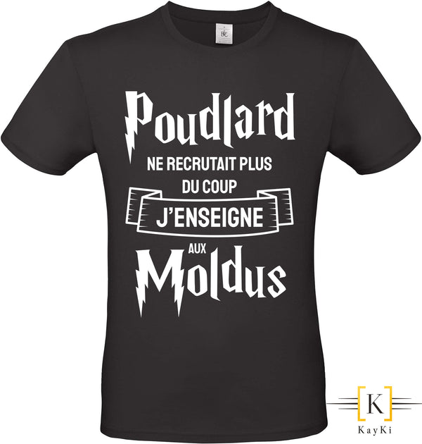 T-Shirt homme - J'enseigne aux Moldus
