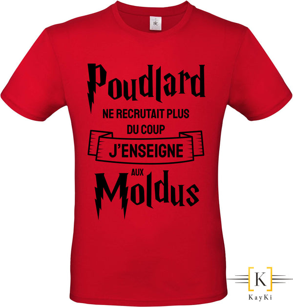 T-Shirt homme - J'enseigne aux Moldus